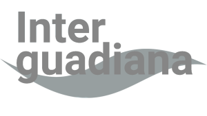 Logótipo Interguadiana Cinzento