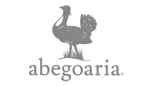 Logótipo Abegoaria Cinzento